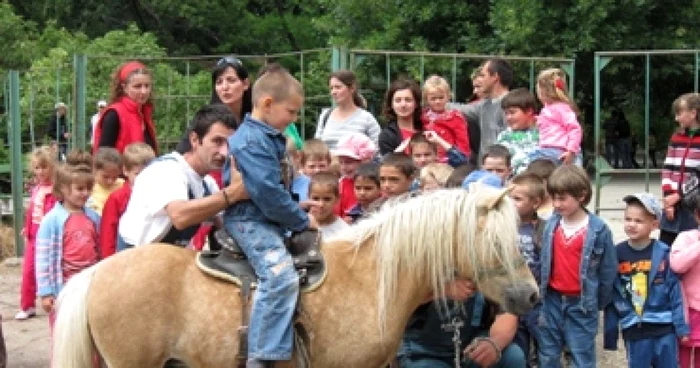 Oradea: Record, aproape 4.000 de vizitatori în trei zile (GALERIE FOTO)