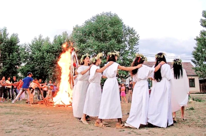 Se culeg flori de sânziene, plante de leac renumite pentru puterile lor tămăduitoare.foto: pixabay.com