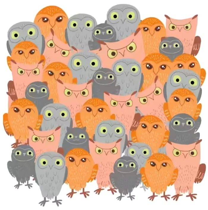 Iluzia optică de azi / foto: BrightSide