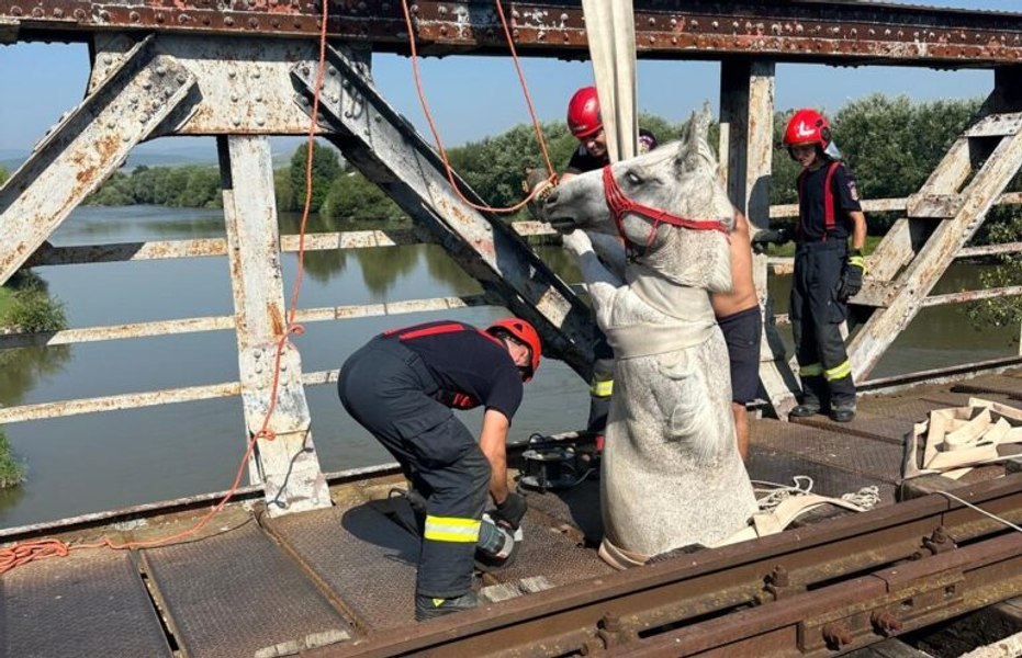 Un cal a rămas captiv pe un pod de cale ferată, după ce o tablă de fier s-a rupt. Operațiune pentru salvarea animalului VIDEO