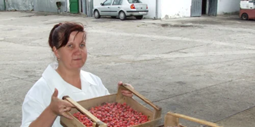 Neamţ: Nemţii poftesc la măceşele nemţenilor