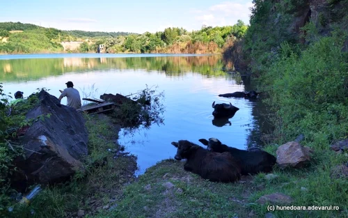 lacul teliuc foto daniel guta adevarul