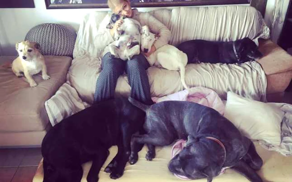 Raisa, înconjurată de cei şase câini pe care i-a adoptat FOTO Facebook.com/Raisa Giulia Ludosan