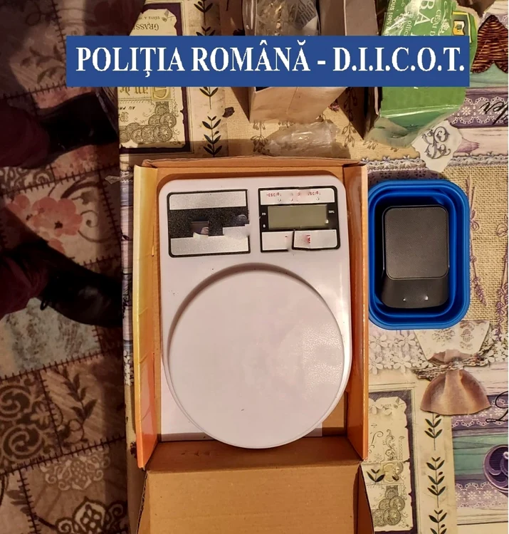 etnobotanice