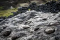 geoparcul arouca portugalia pietre care nasc sursa httparoucageopark (4) jpg
