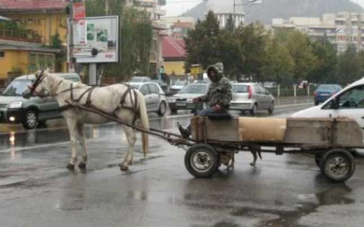 Prejuduiciul, în valoare de 1.800 de lei, a fost recuperat