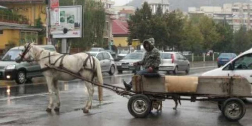 Prejuduiciul, în valoare de 1.800 de lei, a fost recuperat