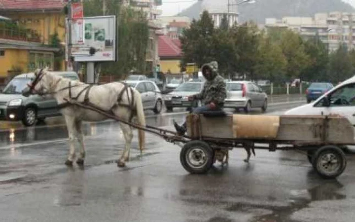 Prejuduiciul, în valoare de 1.800 de lei, a fost recuperat