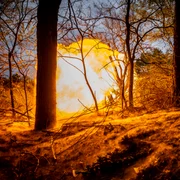 Artileria ucraineană în Herson - război în Ucraina FOTO AFP 