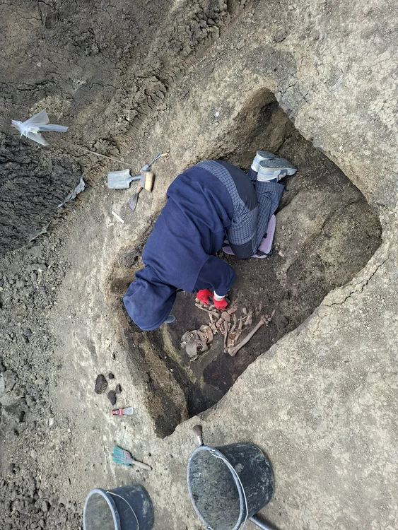 Specialistă din Cehia lucrând la degajarea scheletului FOTO Cosmin Zamfirache