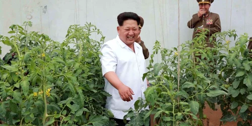 Kim Jong-un în imagini