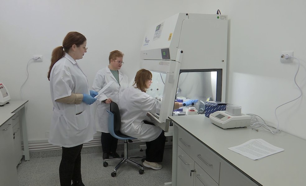 Un soi de vinete arhaic, reînviat de cercetătorii români printr-o procedură genetică specială