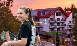 Halep Colaj tripavisor instagram jpeg