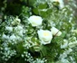 Prince Harry Marries Ms Meghan Markle Windsor Castle jpeg