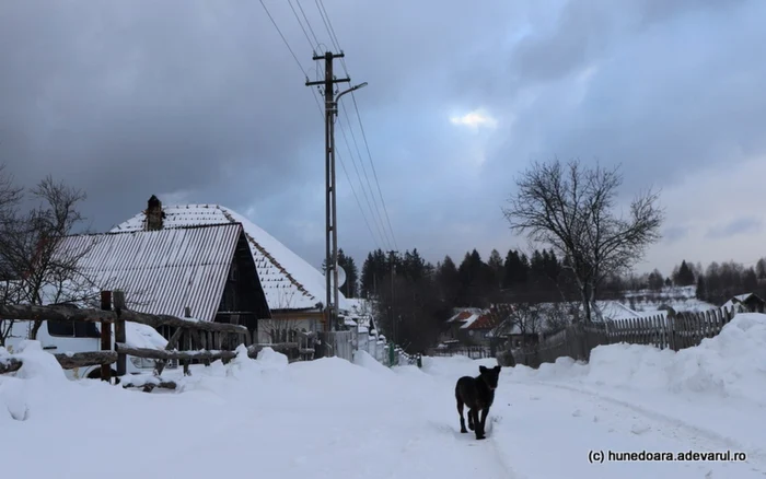 Iarna în Poiana Răchiţelii foto daniel guta adevarul