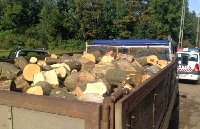 camioneta cu lemne