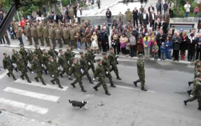 Râmnicu Vâlcea: Ceremonial militar şi defilări de Ziua Armatei