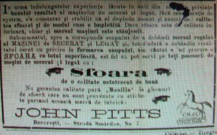 calarasi publicitate