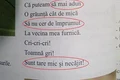 Aşa arată versiunea "reintereptată" a poeziei "Balada unui greier mic"  jpeg