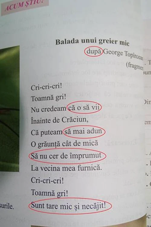 Aşa arată versiunea "reintereptată" a poeziei "Balada unui greier mic" 