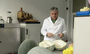 Costel Vânătoru,  coordonatorul  laboratorului, laudă  proprietăţile fructului   png