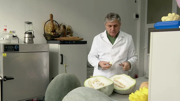 Costel Vânătoru, coordonatorul laboratorului, laudă proprietăţile fructului