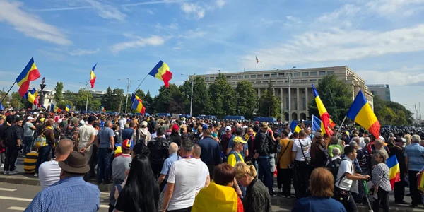 Design fără titlu (5) png