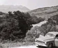 Muntii Apuseni Foto Viorel Simionescu (12) jpg