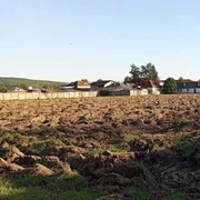 teren stadion forestierul arat gazeta stalpeni webp