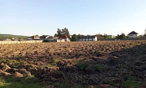 teren stadion forestierul arat gazeta stalpeni webp