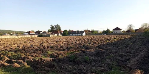 teren stadion forestierul arat gazeta stalpeni webp