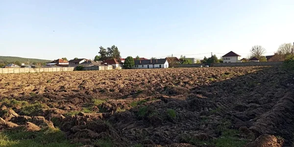 teren stadion forestierul arat gazeta stalpeni webp