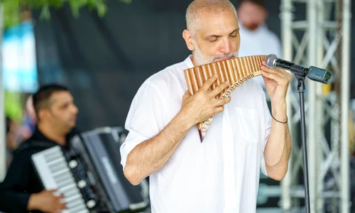 Damian Drăghici 2 jpg