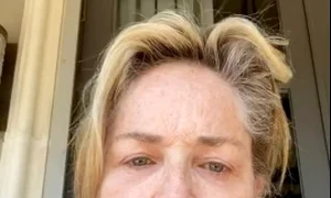 sharon stone distrusa jpeg