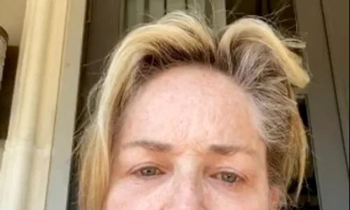 sharon stone distrusa jpeg