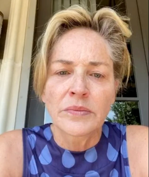 Sharon Stone, 62 de ani, îi acuză pe cei care nu poartă mască de tragedia prin care trecefoto: Instagram
