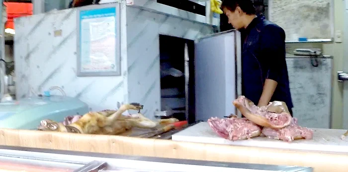 Abator carne de câine FOTO: Profimedia (Arhivă)