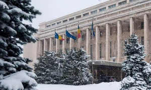 Guvernarea inutilă jpeg