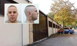 supect fugar austria jpeg