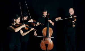 Cvartetul Arcadia 1 jpg