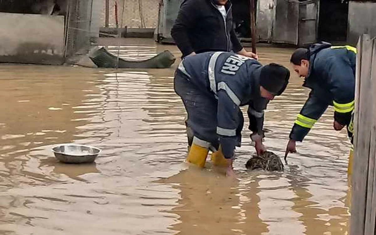 FOTO Arhivă