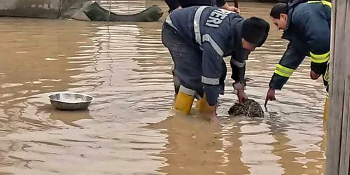 inundatii bărăşti olt