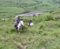 drumul dacilor 12