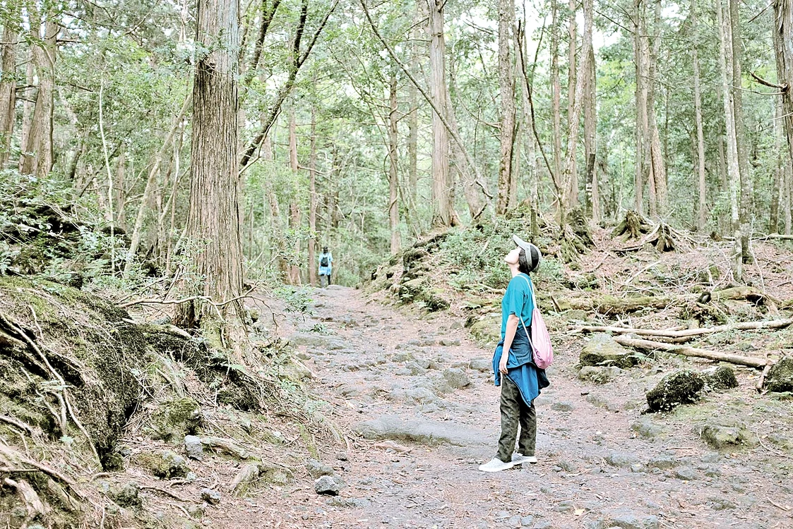 Pădurea sinucigaşilor Aokigahara, din Japonia, bântuie spiritele neîmpăcate ale 500 de oameni