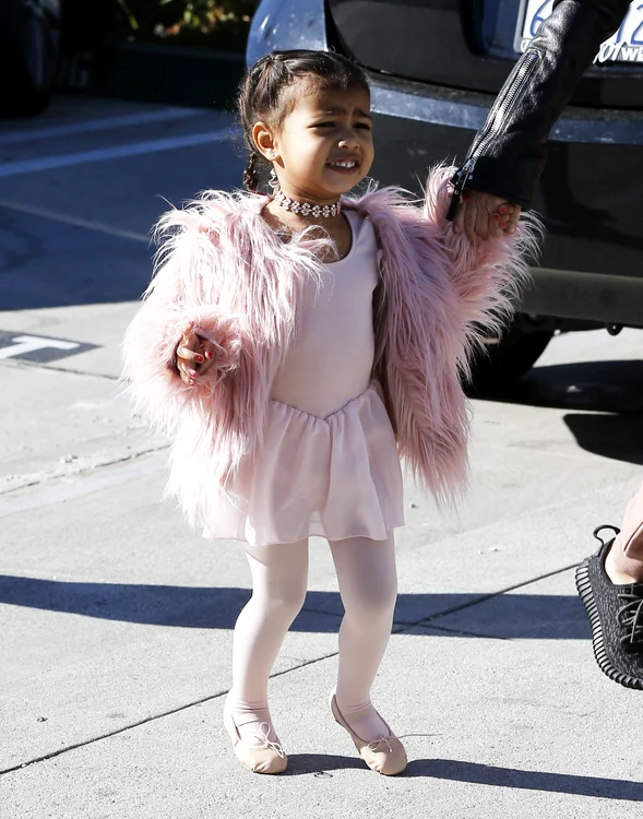 north west hepta 2235538 jpg jpeg