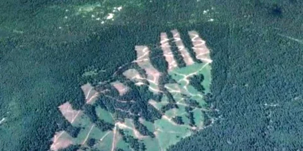 paduri