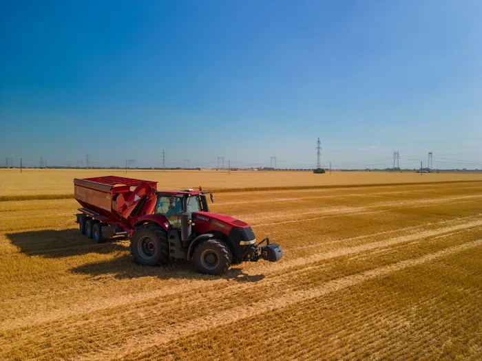 Anumite sate au renăscut datorită agriculturii. FOTO: Shutterstock