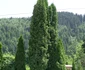 mănăstire Păiseni 5 png