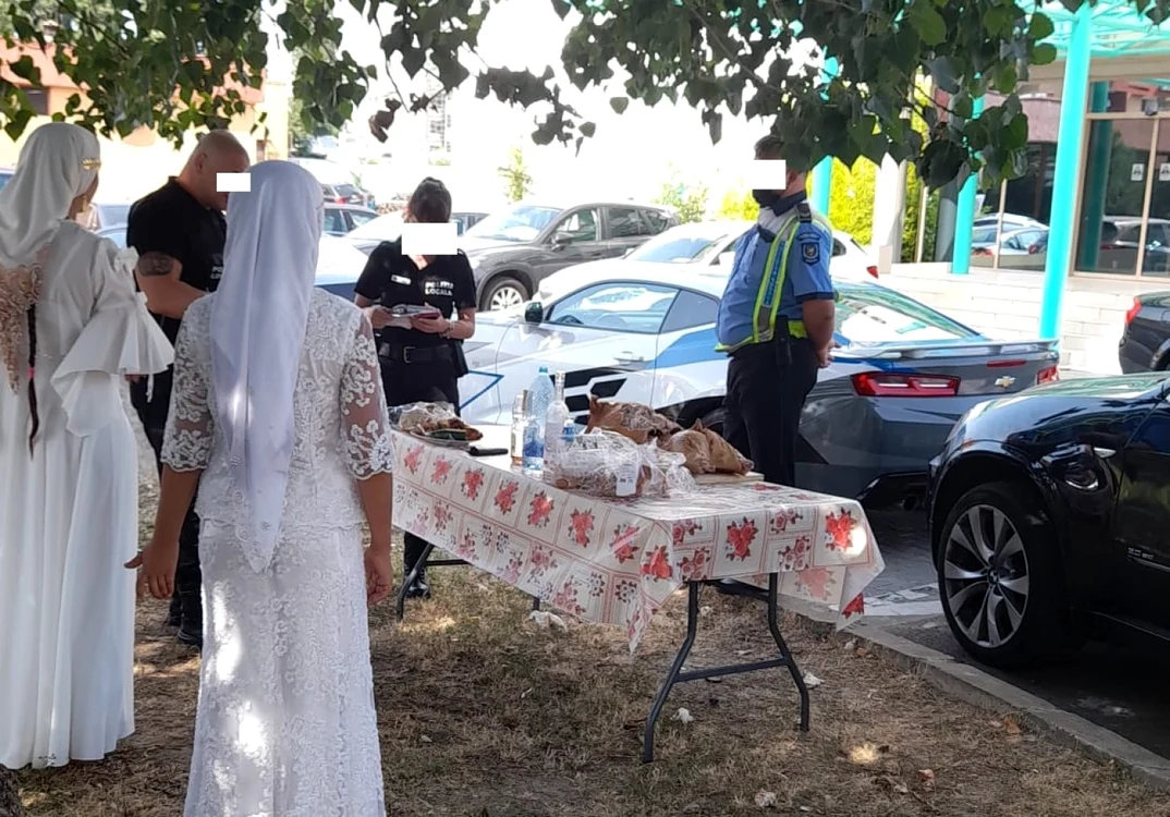 turisti in mamaia petrecere purcei la protap foto constanta de azi