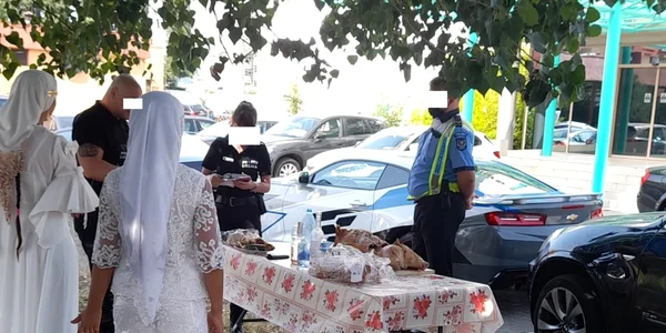 turisti in mamaia petrecere purcei la protap foto constanta de azi